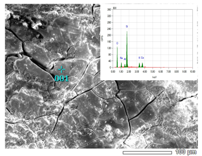 SEM観察、EDS分析などの写真